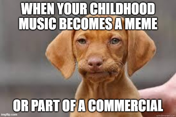 Disappointed Dog | WHEN YOUR CHILDHOOD MUSIC BECOMES A MEME; OR PART OF A COMMERCIAL | image tagged in disappointed dog | made w/ Imgflip meme maker