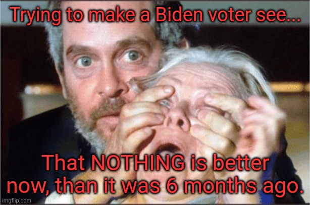 Biden voters | Trying to make a Biden voter see... That NOTHING is better now, than it was 6 months ago. | image tagged in bird box eyes open | made w/ Imgflip meme maker