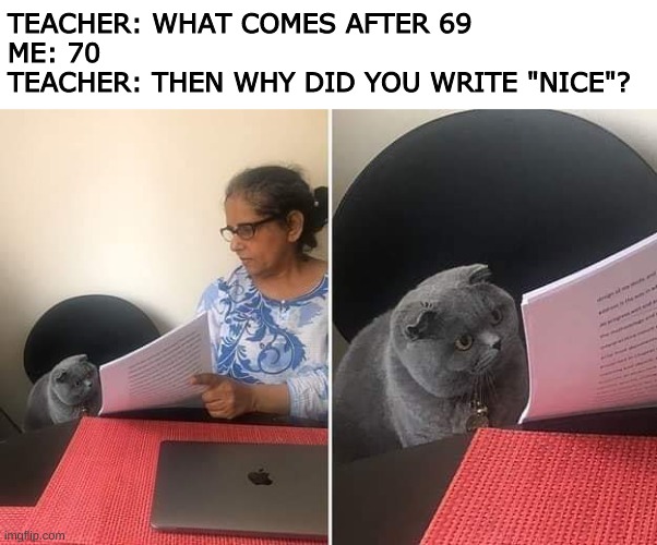 Woman showing paper to cat | TEACHER: WHAT COMES AFTER 69
ME: 70 
TEACHER: THEN WHY DID YOU WRITE "NICE"? | image tagged in woman showing paper to cat,69,nice | made w/ Imgflip meme maker