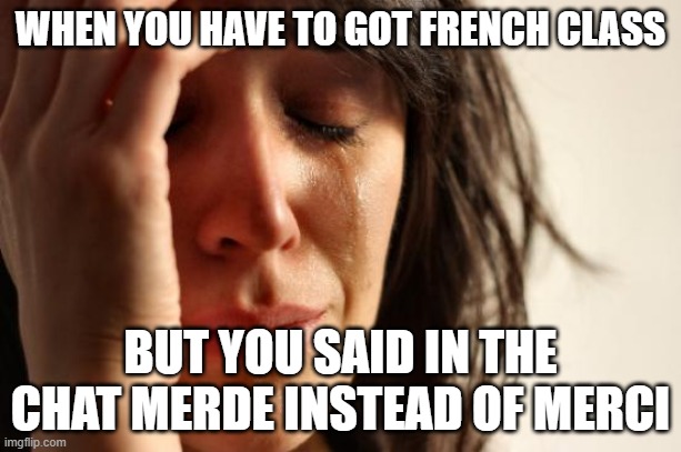 First World Problems Meme | WHEN YOU HAVE TO GOT FRENCH CLASS; BUT YOU SAID IN THE CHAT MERDE INSTEAD OF MERCI | image tagged in memes,first world problems | made w/ Imgflip meme maker