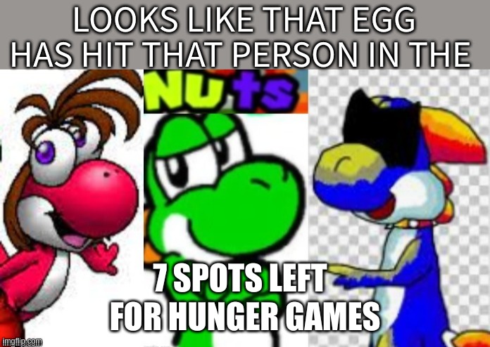 Looks Like That Egg Has Hit That Person In The Nuts | FOR HUNGER GAMES; 7 SPOTS LEFT | image tagged in looks like that egg has hit that person in the nuts | made w/ Imgflip meme maker