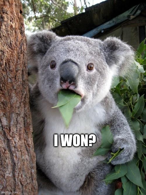 Surprised Koala Meme | I WON? | image tagged in memes,surprised koala | made w/ Imgflip meme maker