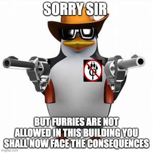 Penguin with dual revolvers | SORRY SIR; BUT FURRIES ARE NOT ALLOWED IN THIS BUILDING YOU SHALL NOW FACE THE CONSEQUENCES | image tagged in funny | made w/ Imgflip meme maker