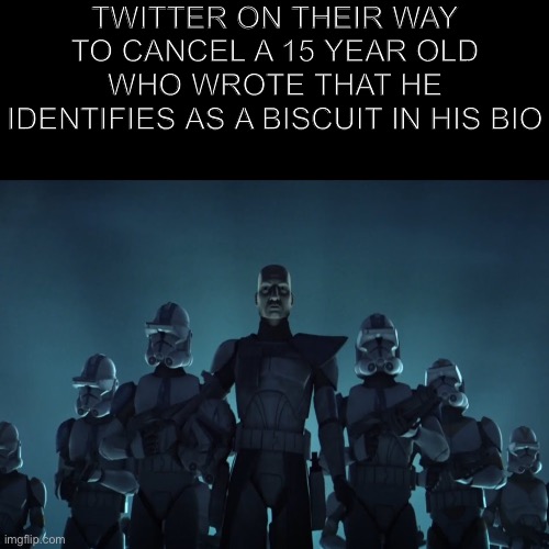 Dark mode friendly :D | TWITTER ON THEIR WAY TO CANCEL A 15 YEAR OLD WHO WROTE THAT HE IDENTIFIES AS A BISCUIT IN HIS BIO | image tagged in twitter,cancel culture,funny,memes | made w/ Imgflip meme maker