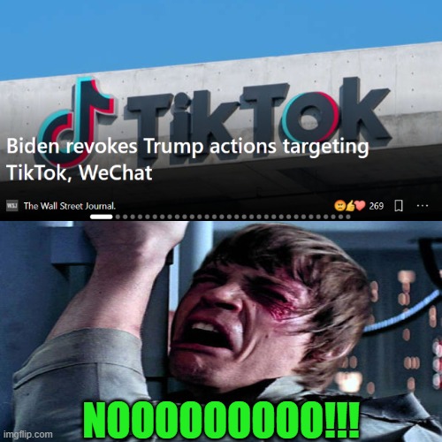 NOOOOOOOOO!!! | image tagged in memes,tik tok sucks,noooooooooooooooooooooooo,barney will eat all of your delectable biscuits,gifs,funny | made w/ Imgflip meme maker