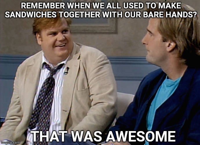 Remember that time |  REMEMBER WHEN WE ALL USED TO MAKE SANDWICHES TOGETHER WITH OUR BARE HANDS? THAT WAS AWESOME | image tagged in remember that time,covid,sandwich | made w/ Imgflip meme maker