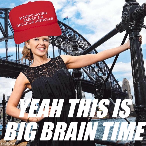 It is still Big Brain Time @ Cringe_Hard (always has been) | YEAH THIS IS BIG BRAIN TIME | image tagged in maga kylie sydney bridge | made w/ Imgflip meme maker