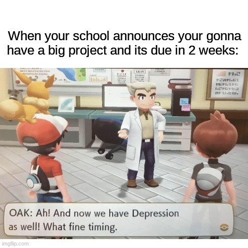 ANOTHER MEME that speaks fax | When your school announces your gonna have a big project and its due in 2 weeks: | image tagged in so true memes,school meme | made w/ Imgflip meme maker