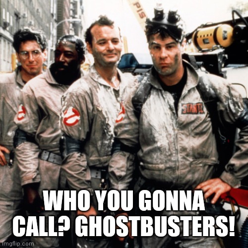 Ghostbusters  | WHO YOU GONNA CALL? GHOSTBUSTERS! | image tagged in ghostbusters | made w/ Imgflip meme maker