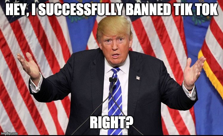 Confused Trump | HEY, I SUCCESSFULLY BANNED TIK TOK RIGHT? | image tagged in confused trump | made w/ Imgflip meme maker