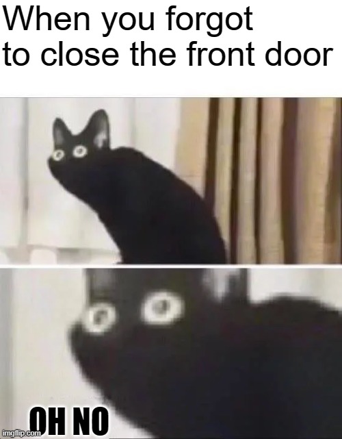 OH NO | When you forgot to close the front door; OH NO | image tagged in oh no black cat | made w/ Imgflip meme maker