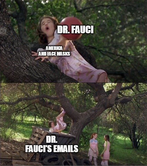 Cokie Knocked Out of the Tree by a Ball and Into the Dumpster | DR. FAUCI; AMERICA AND FACE MASKS; DR. FAUCI'S EMAILS | image tagged in cokie knocked out of the tree by a ball and into the dumpster,memes,dr fauci,email,political meme | made w/ Imgflip meme maker