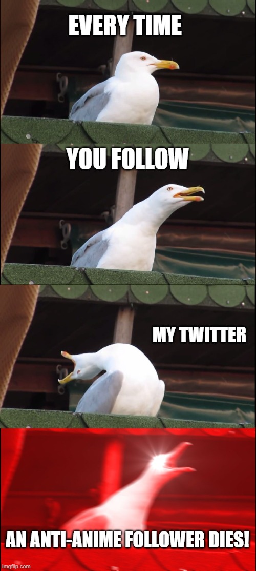 Inhaling Seagull | EVERY TIME; YOU FOLLOW; MY TWITTER; AN ANTI-ANIME FOLLOWER DIES! | image tagged in memes,inhaling seagull | made w/ Imgflip meme maker