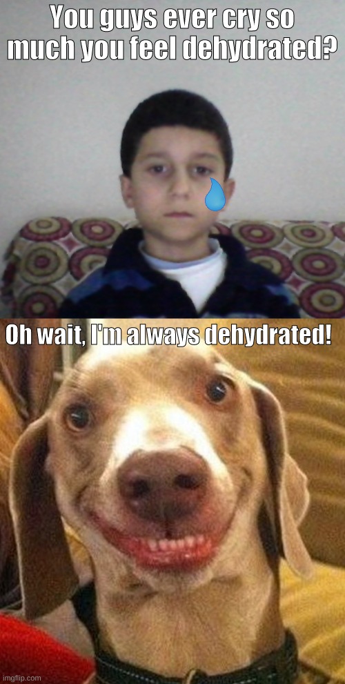 i cri | You guys ever cry so much you feel dehydrated? Oh wait, I'm always dehydrated! | image tagged in dehydrated,dog,dude,cry | made w/ Imgflip meme maker