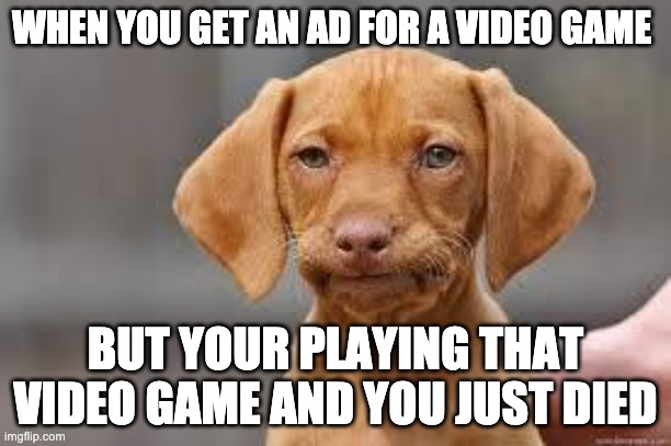 relatable? | WHEN YOU GET AN AD FOR A VIDEO GAME; BUT YOUR PLAYING THAT VIDEO GAME AND YOU JUST DIED | image tagged in disappointed dog | made w/ Imgflip meme maker