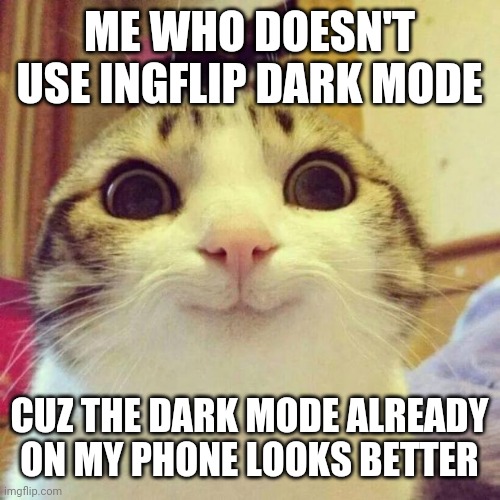 Smiling Cat Meme | ME WHO DOESN'T USE INGFLIP DARK MODE CUZ THE DARK MODE ALREADY ON MY PHONE LOOKS BETTER | image tagged in memes,smiling cat | made w/ Imgflip meme maker