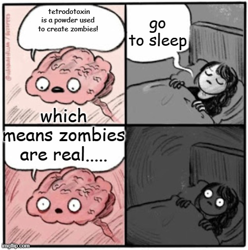*gulp* | go to sleep; tetrodotoxin is a powder used to create zombies! which means zombies are real..... | image tagged in brain before sleep | made w/ Imgflip meme maker