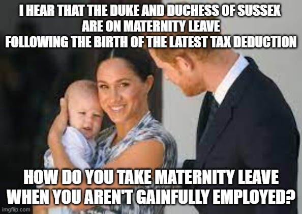 Employed vs Unemployed | I HEAR THAT THE DUKE AND DUCHESS OF SUSSEX 
ARE ON MATERNITY LEAVE FOLLOWING THE BIRTH OF THE LATEST TAX DEDUCTION; HOW DO YOU TAKE MATERNITY LEAVE WHEN YOU AREN'T GAINFULLY EMPLOYED? | image tagged in royals,privilege,politics | made w/ Imgflip meme maker