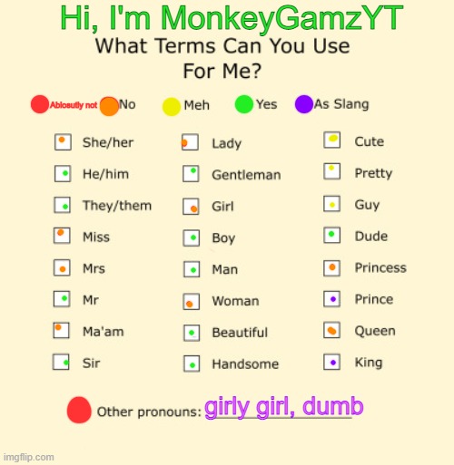 Pronouns Sheet | Hi, I'm MonkeyGamzYT; Ablosutly not; girly girl, dumb | image tagged in pronouns sheet | made w/ Imgflip meme maker