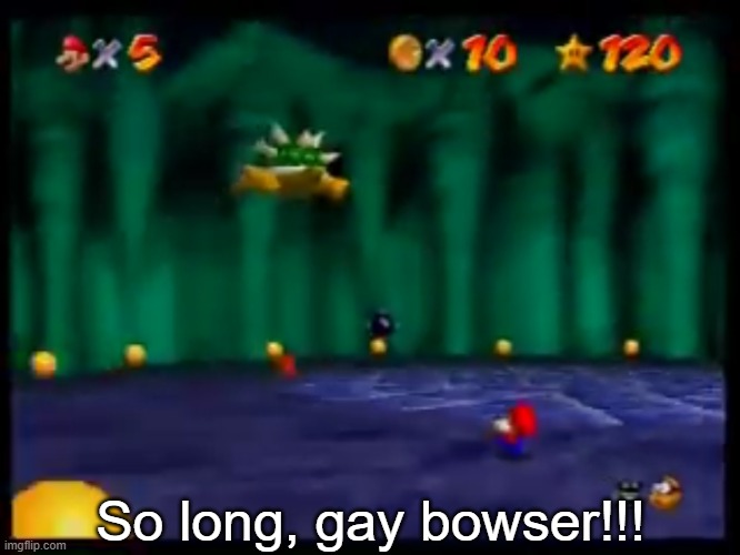 So long Gay Bowser | So long, gay bowser!!! | image tagged in so long gay bowser | made w/ Imgflip meme maker