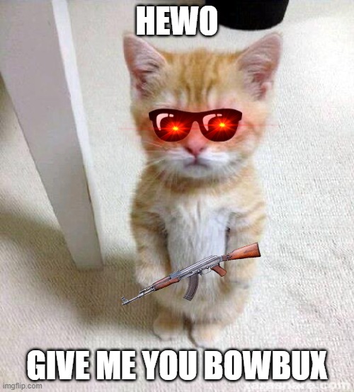Cute Cat | HEWO; GIVE ME YOU BOWBUX | image tagged in memes,cute cat | made w/ Imgflip meme maker