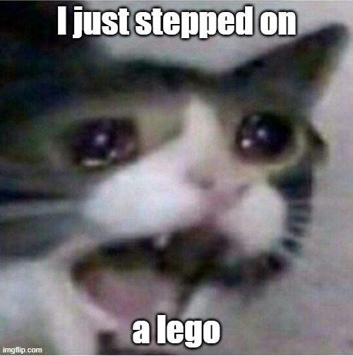 I StEpPed oN A LegO | I just stepped on; a lego | image tagged in crying cat | made w/ Imgflip meme maker