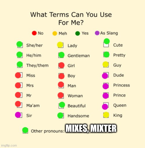 le pronoun sheet because yes | MIXES, MIXTER | image tagged in pronouns sheet | made w/ Imgflip meme maker