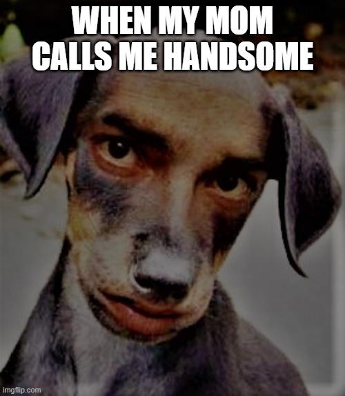 handsome boi | WHEN MY MOM CALLS ME HANDSOME | image tagged in good boy | made w/ Imgflip meme maker