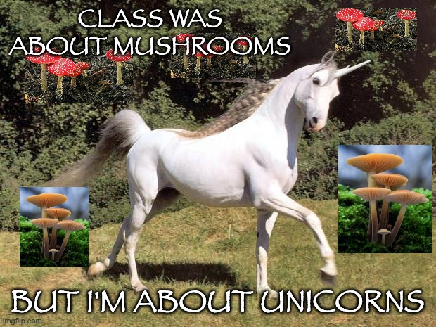 I learned SOMETHING | CLASS WAS ABOUT MUSHROOMS; BUT I'M ABOUT UNICORNS | image tagged in unicorns,mushrooms,class,school,teacher | made w/ Imgflip meme maker