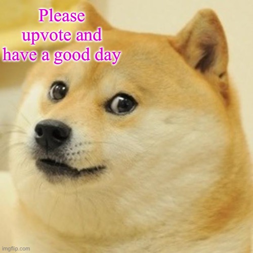 Doge Meme | Please upvote and have a good day | image tagged in memes,doge | made w/ Imgflip meme maker