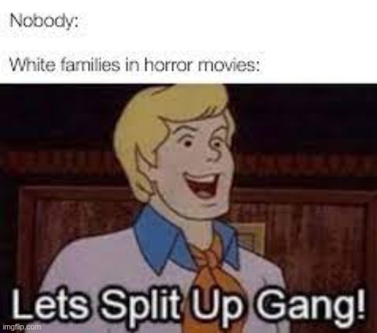 its so true..... | image tagged in meme,scooby doo,horror movie | made w/ Imgflip meme maker