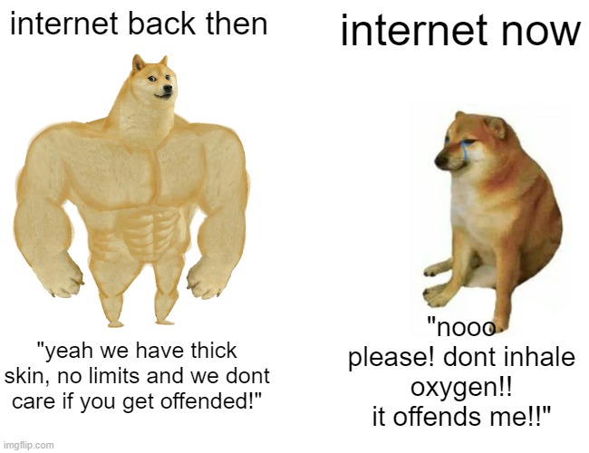 ok. | internet back then; internet now; "nooo please! dont inhale oxygen!! it offends me!!"; "yeah we have thick skin, no limits and we dont care if you get offended!" | image tagged in memes,buff doge vs cheems,internet | made w/ Imgflip meme maker