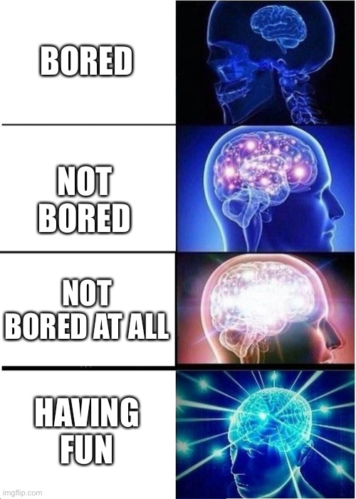 Bored | BORED; NOT BORED; NOT BORED AT ALL; HAVING FUN | image tagged in memes,expanding brain | made w/ Imgflip meme maker