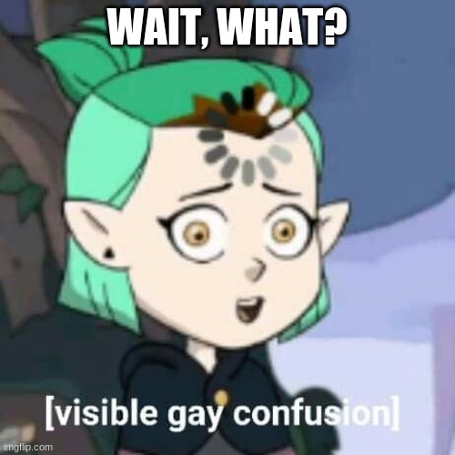 visible gay confusion | WAIT, WHAT? | image tagged in visible gay confusion | made w/ Imgflip meme maker