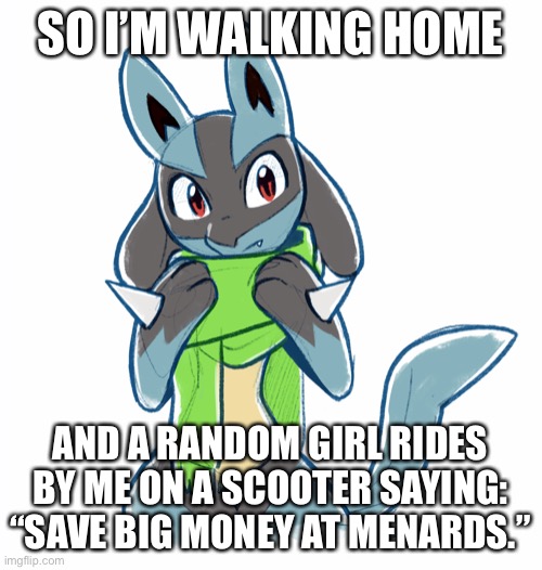 SO I’M WALKING HOME; AND A RANDOM GIRL RIDES BY ME ON A SCOOTER SAYING: “SAVE BIG MONEY AT MENARDS.” | made w/ Imgflip meme maker