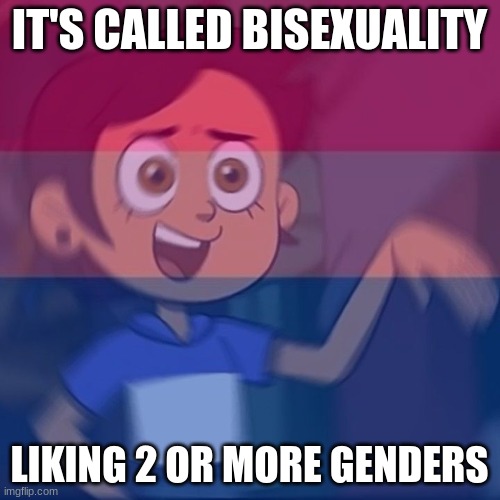 bisexual panic | IT'S CALLED BISEXUALITY LIKING 2 OR MORE GENDERS | image tagged in bisexual panic | made w/ Imgflip meme maker