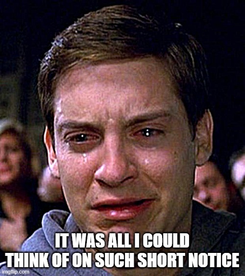 crying peter parker | IT WAS ALL I COULD THINK OF ON SUCH SHORT NOTICE | image tagged in crying peter parker | made w/ Imgflip meme maker