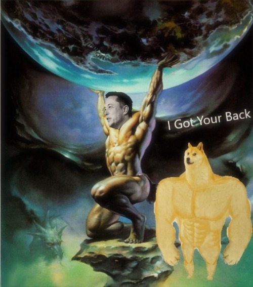 Doge has Elon's Back | image tagged in doge,elon musk,the most interesting man in the world,world,save the earth | made w/ Imgflip meme maker