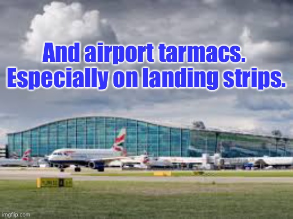 airport | And airport tarmacs.  Especially on landing strips. | image tagged in airport | made w/ Imgflip meme maker