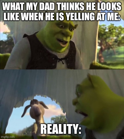 My dad | WHAT MY DAD THINKS HE LOOKS LIKE WHEN HE IS YELLING AT ME:; REALITY: | image tagged in shrek,and that's a fact | made w/ Imgflip meme maker