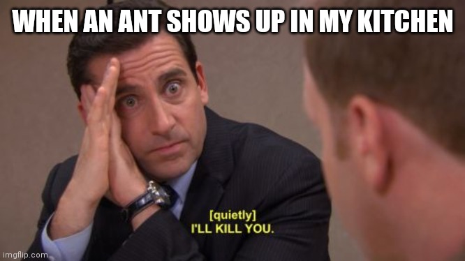  WHEN AN ANT SHOWS UP IN MY KITCHEN | image tagged in i'll kill you | made w/ Imgflip meme maker
