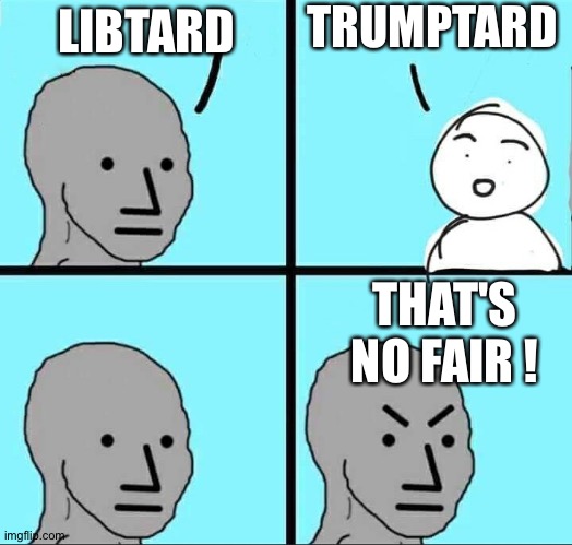 Can dish it out but can't taj it. | TRUMPTARD; LIBTARD; THAT'S NO FAIR ! | image tagged in npc meme | made w/ Imgflip meme maker