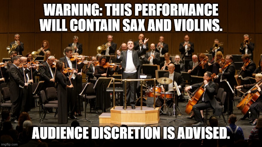 Sax and violins |  WARNING: THIS PERFORMANCE WILL CONTAIN SAX AND VIOLINS. AUDIENCE DISCRETION IS ADVISED. | image tagged in orchestra | made w/ Imgflip meme maker