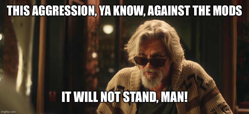 The dude | THIS AGGRESSION, YA KNOW, AGAINST THE MODS; IT WILL NOT STAND, MAN! | image tagged in the dude,Superstonk | made w/ Imgflip meme maker