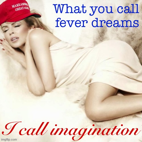 Over-active imagination? Or just right? | What you call fever dreams I call imagination | image tagged in maga kylie sleep | made w/ Imgflip meme maker