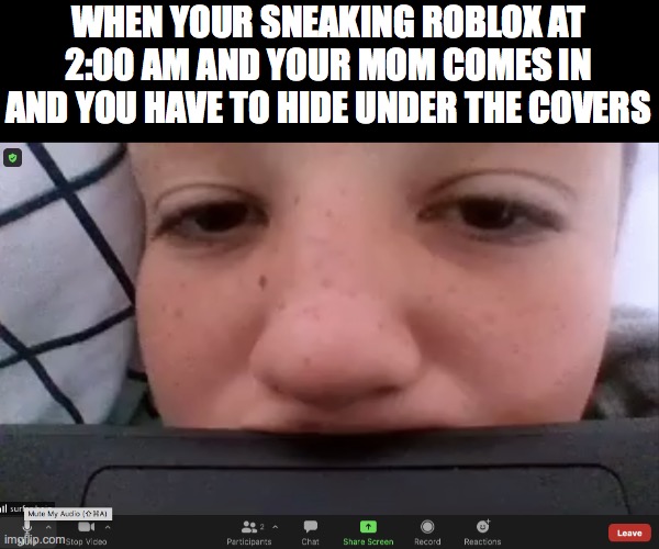 run bu bu bu | WHEN YOUR SNEAKING ROBLOX AT 2:00 AM AND YOUR MOM COMES IN AND YOU HAVE TO HIDE UNDER THE COVERS | image tagged in lol,dead,sadness,gaming,video games,memes | made w/ Imgflip meme maker