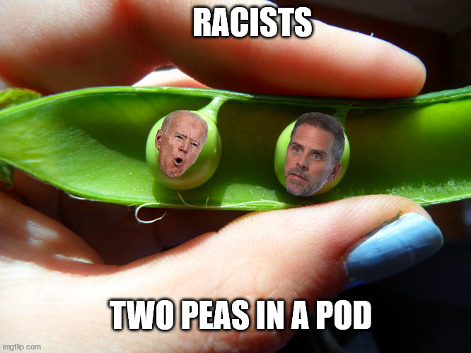 Peas in a pod | RACISTS; TWO PEAS IN A POD | image tagged in peas in a pod,racists,biden | made w/ Imgflip meme maker