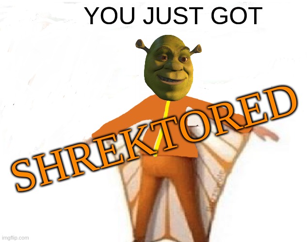 You Just Got Vectored Blank | YOU JUST GOT; SHREKTORED | image tagged in you just got vectored blank | made w/ Imgflip meme maker