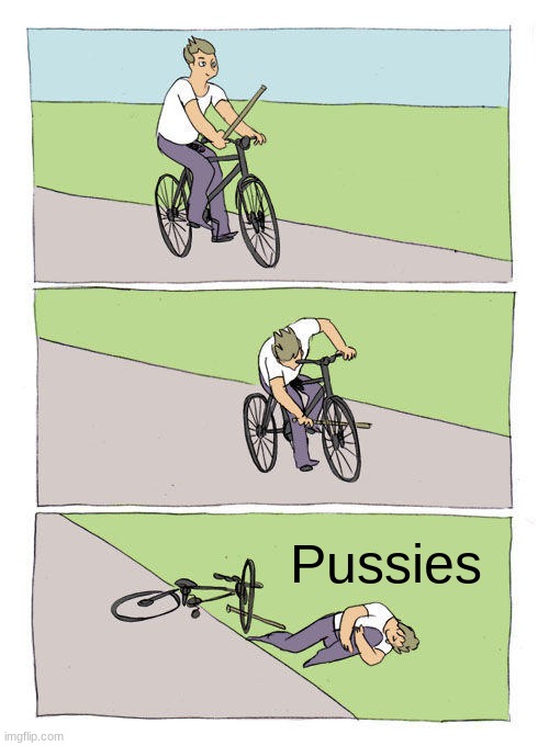 Bike Fall Meme | Pussies | image tagged in memes,bike fall | made w/ Imgflip meme maker