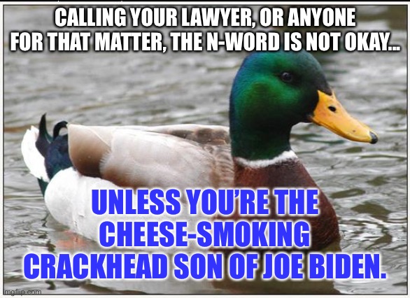 Hunter Biden is a dumb racist | CALLING YOUR LAWYER, OR ANYONE FOR THAT MATTER, THE N-WORD IS NOT OKAY... UNLESS YOU’RE THE CHEESE-SMOKING CRACKHEAD SON OF JOE BIDEN. | image tagged in memes,actual advice mallard,hunter biden,joe biden,racist,n word | made w/ Imgflip meme maker